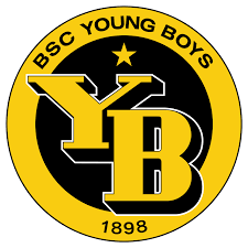 Ytterbium is a soft, malleable and rather ductile element that exhibits a bright silvery luster.a rare earth, the element is easily attacked and dissolved by mineral acids, slowly reacts with water, and oxidizes in air. Bsc Young Boys Wikipedia
