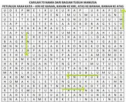 Silakan berdonasi untuk blog ini ke no. Teka Teki Tubuh Manusia Untuk Sd Rumah Pintar