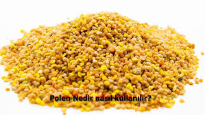 Taze polen veya kurutulmuş polen olarak tüketilebilir. Polen Nedir Nasil Kullanilir Nedir Bul Kimdir Ogren