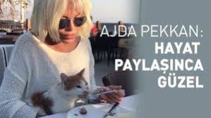 Ajda Pekkan In Kedi Sevgisi Guzel Izmir In Guzel Kedileri Hayat Paylasinca Guzel Guzel Kediler Kedi Hayat