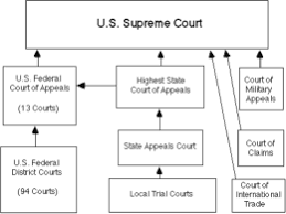 civil and criminal law venn diagram lamasa jasonkellyphoto co