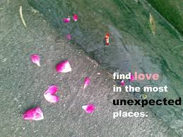 We did not find results for: Finding Love Quotes Unexpected Places Quotesgram