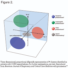 Image result for COPD Exacerbation Prevention