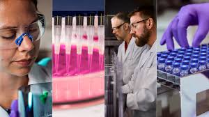 Johnson & Johnson's 2025 first-quarter earnings are here