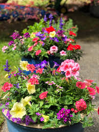 Check spelling or type a new query. Bright Summer Flower Pots For The Patio Such A Pretty Way To Create A Special Place And Bring The Garden Onto T Container Flowers Flower Pots Beautiful Patios