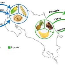 There may be variations in nutritional content across servings based on variations in overall size and quantities of ingredients and based on special ordering. Pdf Costa Rica And Its Commitment To Sustainability In Challenges For Food And Nutrition Security In The Americas