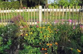 If your home is open at the front, the fence protects it in the back from intruders of any sort, such as animals treading on your flower and veggie beds and neighbors' curious looks. 40 Best Garden Fence Ideas Design Pictures Designing Idea