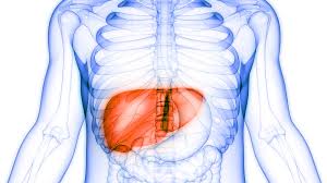 Malignant tumors of the liver are most commonly metastases, or areas of distant spread, from tumors that arise elsewhere in the body. Bevacizumab Atezolizumab Survival And Quality Of Life Benefits In Advanced Liver Cancer Spur Regulatory Approval Cancer Therapy Advisor