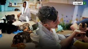 العربية - News update