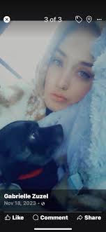 Black or dark brown dog seen in Mount Pleasant