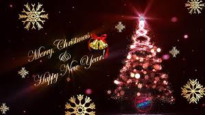 Image result for xmas greetings images