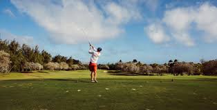 Image result for what are pars on van nuys golf course 9 hole executive course?