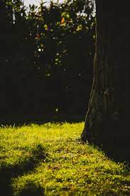 Choose from a curated selection of 1080p wallpapers for your mobile and desktop screens. 750 Photoshop Pictures Hd Download Free Images On Unsplash