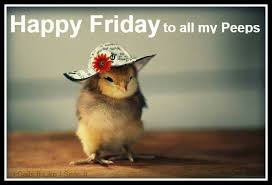 Happy Friday Animals Beautiful Cute Creatures Funny Animals