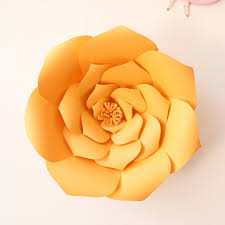 We did not find results for: 30cm Medium Paper Flower Backdrop Wall Diy Wedding Party Decor Orange Walmart Canada