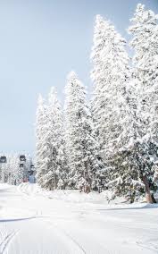 Official account of flachau tourism, tag your 📸 with #visitflachau & @visitflachau. Ski Area Flachau Holiday In Snow Space Salzburg