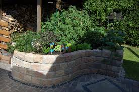 ‎nein, überwinterung hell, kühl, fros. Ideen Nutzliches Marcus Schmidt Garten Und Landschaftsbau