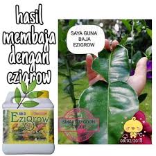 Berminat atau ingin mencuba dulu,hakak ada sediakan yang trial 500ml hanya rm40 sm / rm45ss. Baja Ezigrow 4 Liter Shopee Malaysia