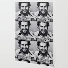 We did not find results for: Pablo Escobar Wallpaper For Any Decor Style Society6