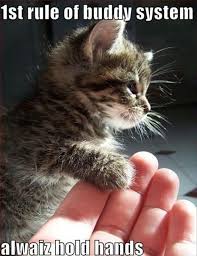 Top 30 Funny Animal Quotes And Pics Humor Jokes Cute Animal Quotes Funny Animal Quotes Funny Animal Pictures