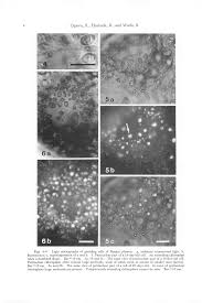 1f29da2f5cc5ea6149662517ead92a55d14a7f34b53a02468d2a7158f26a4262