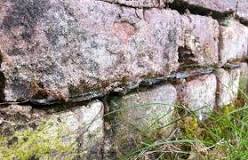 Image result