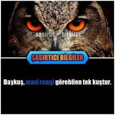 Bir Neslin Efsanesi Turkiye Nin Ilk Gangsteri Necdet Elmas Film