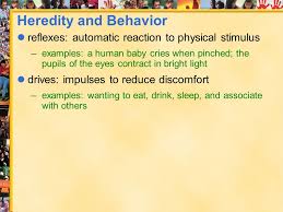 2 What Is Culture The Shared Products Of Human Groups Physical Objects And The Beliefs Values Behaviors Shared By The Group Ppt Download