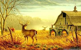 Country landscape ultrahd background wallpaper for wide 16:10 5:3 widescreen wuxga wxga wga 4k uhd tv 16:9 4k & 8k ultra hd 2160p download country landscape ultrahd wallpaper. Country Scenes Wallpapers Top Free Country Scenes Backgrounds Wallpaperaccess