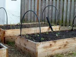 Cat Proof Raised Beds Winter Vegetables Gardening Indoor Herb Garden Cat Proofing