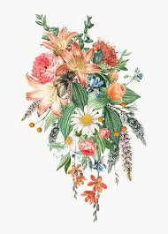 Blooming Vintage Flowers Transparent Png Free Image By Rawpixel Com Flower Art Flower Illustration Digital Flowers