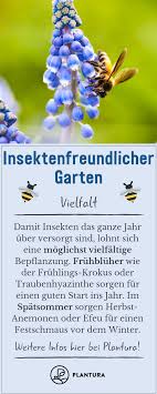 Insektenfreundlicher Garten Vielfalt Eine Vielfaltige Bepflanzung Ist Fur Insekten Besonders Wichtig Bepflanzung Garten Pflanzen Bienenfreundliche Pflanzen