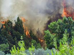 Δύο περιφέρειες βρίσκονται σε πολύ υψηλό κίνδυνο πυρκαγιάς (κατηγορία 4) για αύριο, πέμπτη 15 ιουλίου, σύμφωνα με την…. Fwtia Sthn Kalamata Metwpo Enos Xiliometroy Sta Ellhnika In Gr