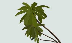 Pada bagian awal terdapat gambaran umum rumah makan. Latihan Melengkapi Deskripsi Pohon Pohonan Dalam Suasana Hujan Penulis Cilik