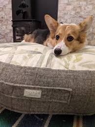 Mix that with free land to build on and you can get by with minimal money. The Spiffing Brit On Twitter I Found A Way To Get Free Land In Scotland So I Made My Corgi A Land Owner Want To Learn About The Free Land Exploit Https T Co Gofw6cnlwg