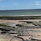 Northumbrian Salt Marsh & Coastal Foray & Feast event image