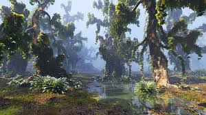 3d Model Of Borneo Forest Hd Borneo Forest Rainforest Trees