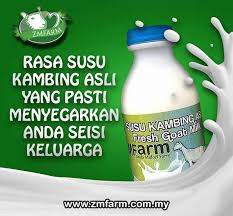 Bahkan, susu ini kaya akan asam lemak rantai menengah yang merupakan lemak menyehatkan untuk tubuh. Manfaat Susu Kambing Untuk Ibu Yang Mengandung Zmfarm