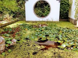 Botanischer Garten Rub Ruhrgebiet Nordrhein Westfalen Wandertipps Fotos Komoot