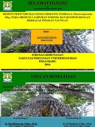 Power point ini bisa membantu untuk anda yang sedang melaksanakan tugas akhir kuliah yaitu skripsi dalam sidang proposal. Contoh Power Point Seminar Proposal Kehutanan Ur