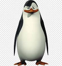 Том макграт, крис миллер, кристофер найтс и др. Madagaskar Pinguine Madagaskar Pinguine Png Pngegg