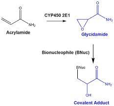 Frontiers A Metabolomics Inspired Strategy For The Identification Of Protein Covalent Modifications Chemistry