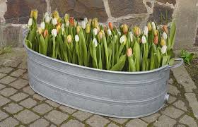 Grou00dfe Ovale Zinkwanne Wanne Pflanzku00fcbel Hochbeet Gartenteich Blumenkasten Ebay Gardening Sensations Garten Bepflanzung Vorgarten
