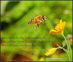 Birds And The Bees Lyrics Idk The Secret Life Of Bees By Sue Monk Kidd Secret Life Secret Quotes Favorite Authors