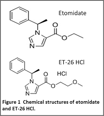 Image result for Etomidate