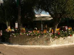 To keep them small and encourage rebloom prune or trim them whether you are making an alpine trough, succulent hypertufa planter, bonsai garden, fairy garden or miniature garden, you will need small, rather slow growing. Poseidon Bar Garden Area Picture Of Mary S Apartments Chrani Tripadvisor