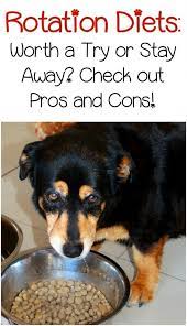 Rotation Diet Is It Good For Your Dog Dog Food Recipes Dog Food Reviews Natural Dog Food