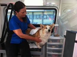 We would like to show you a description here but the site won't allow us. Aussie Pet Mobile Breakfast Television Dog Grooming 2011 Flickr