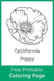 Coloringanddrawings.com provides you with the opportunity to color or print your poppy flower drawing online for free. Free Printable California Poppy Coloring Page Mama Likes This