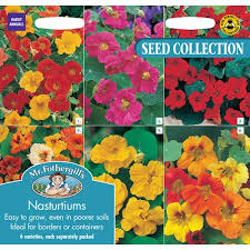 Check spelling or type a new query. Nasturtium Seed Collection Pack Mr Fothergills Bridgend Garden Centre